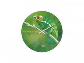 Часы настенные Nicole Time NT503 в Плотниково - plotnikovo.mebel-nsk.ru | фото